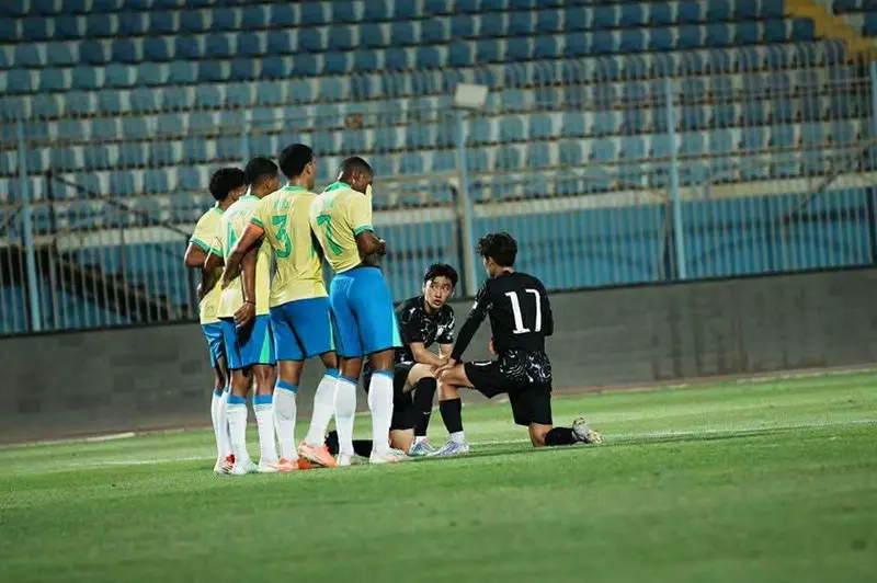 البرازيل وكوريا